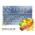 TEREA Balanced Regular tobacco sticks for IQOS in UAE