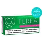 Terea Green menthol for IQOS UAE
